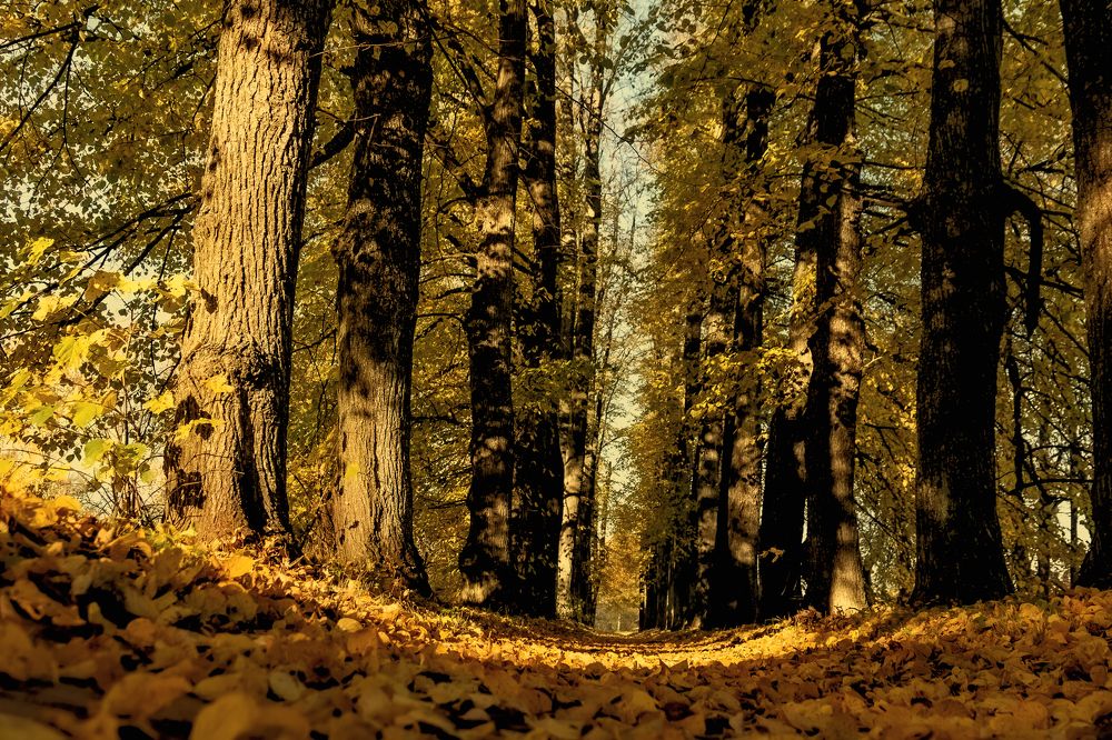 Photograph by Galina