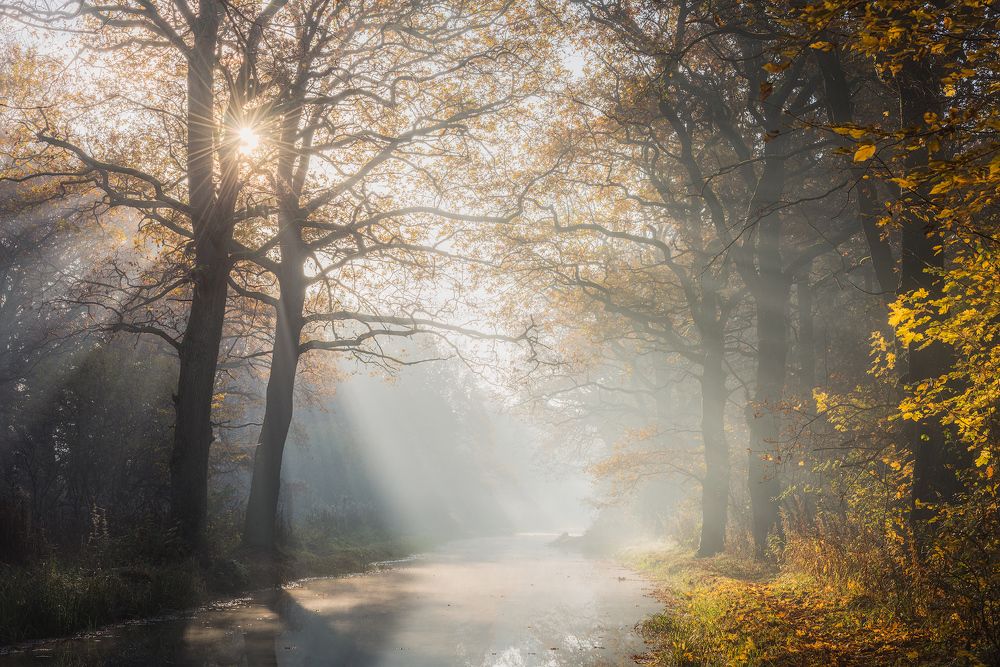 Photograph by Валерий Притченко