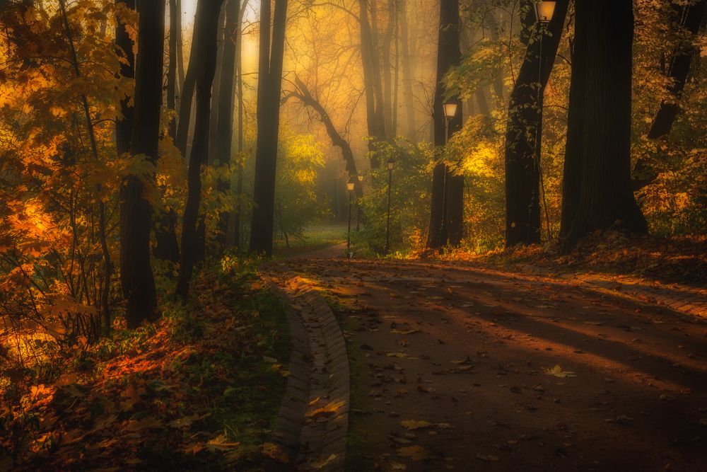 Photograph by Владимир Брагилевский