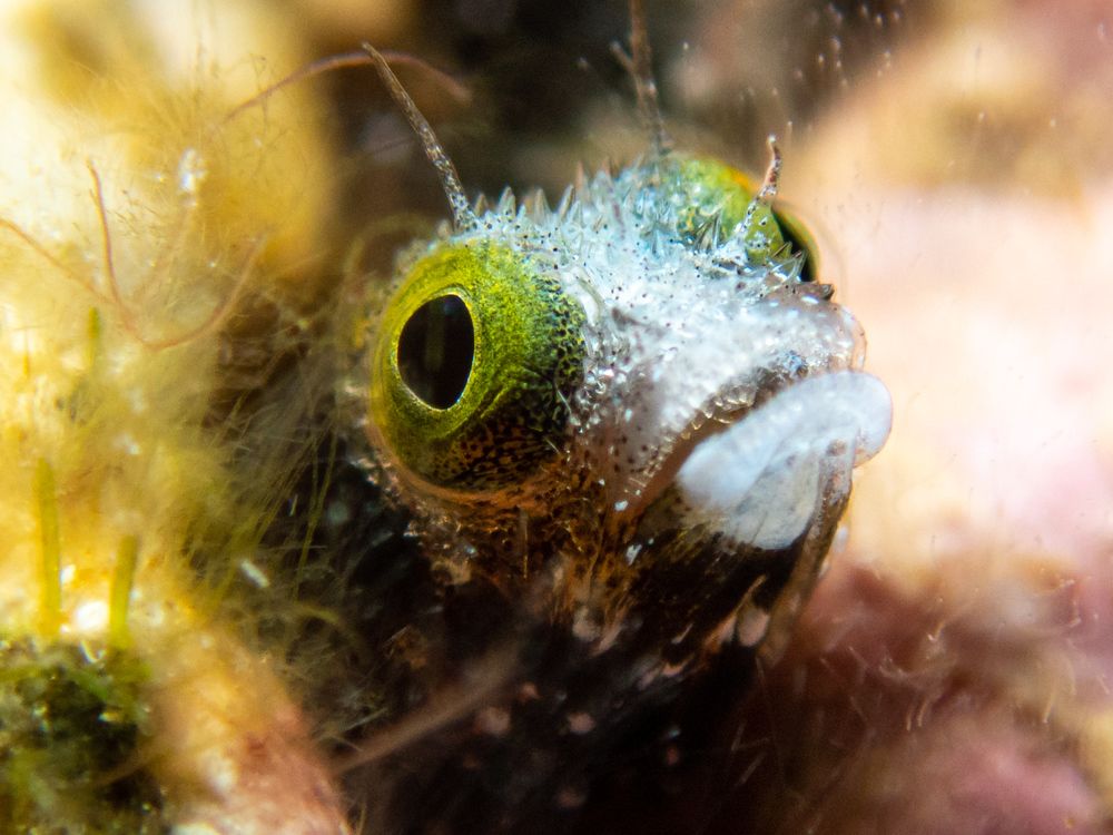 Photograph by Kateryna Terets