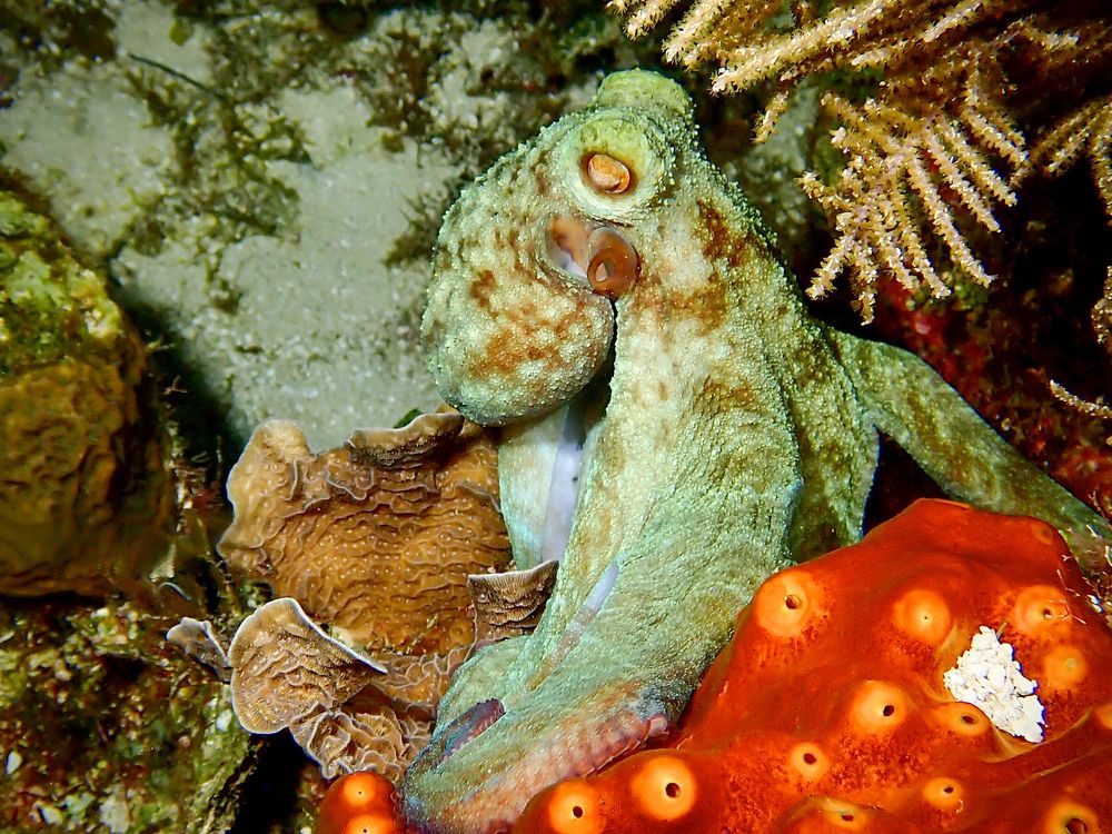 Photograph by Kateryna Terets