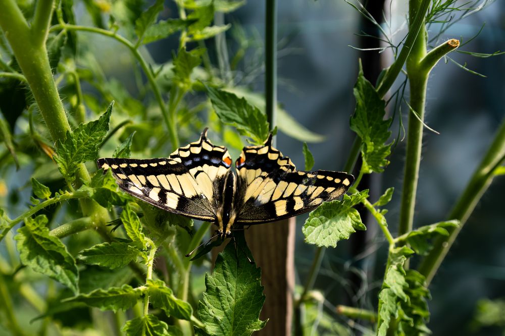 Photograph by Galina