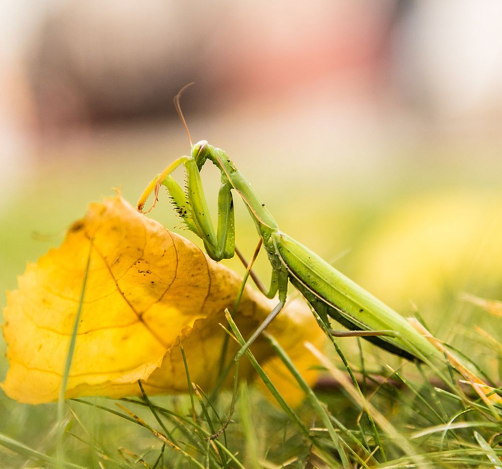 Photograph by Александр Есликов