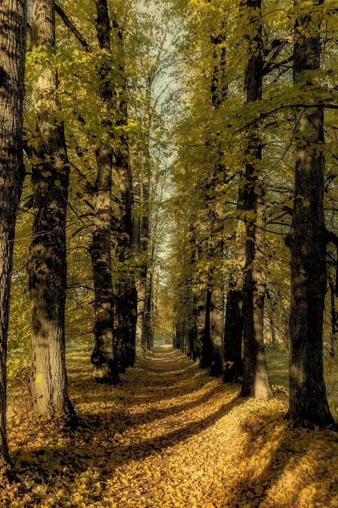 Photograph by Galina