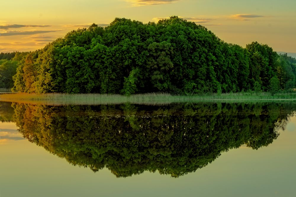 Photograph by Galina