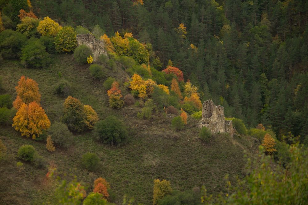 Photograph by Алевтина Орлова