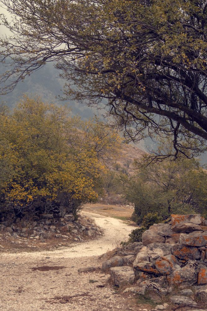 Photograph by Алевтина Орлова