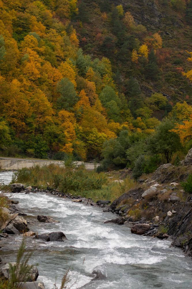 Photograph by Алевтина Орлова