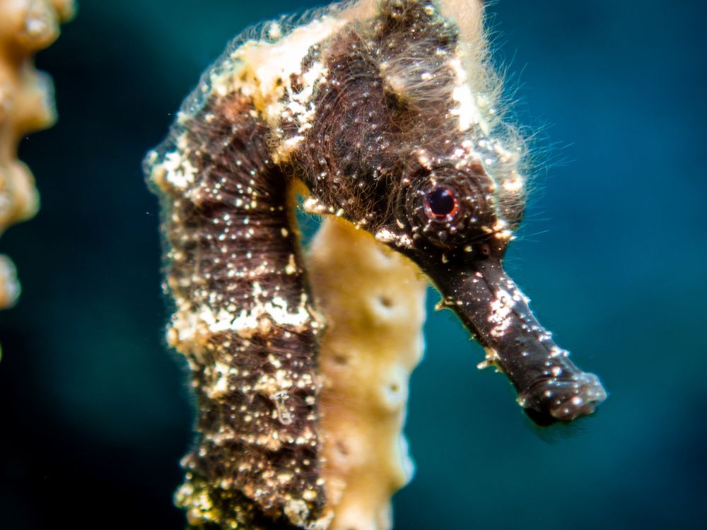 Photograph by Kateryna Terets