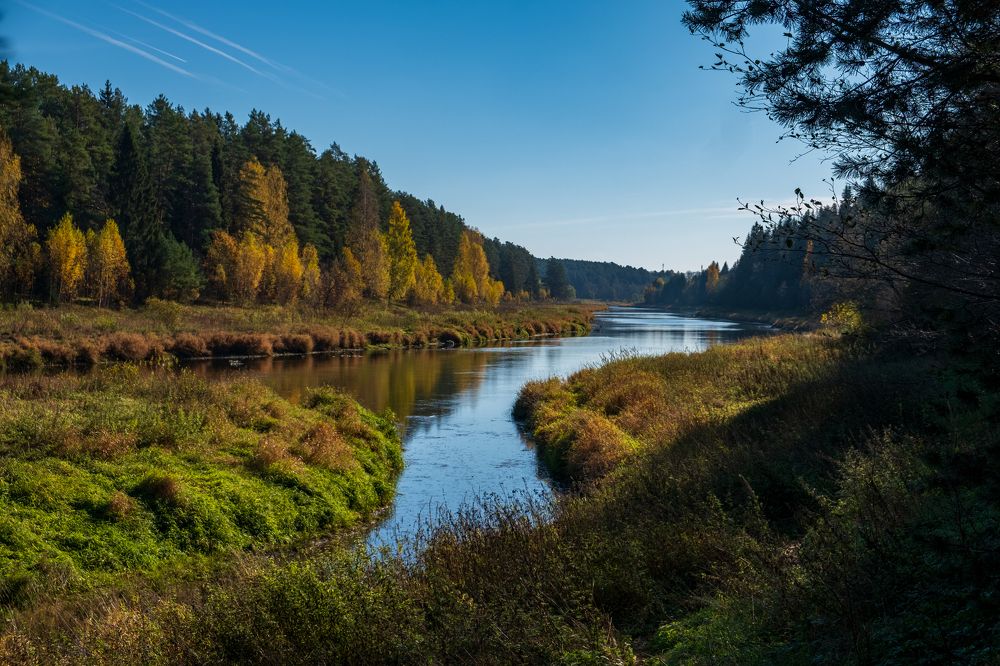 Photograph by Дмитрий Гусев