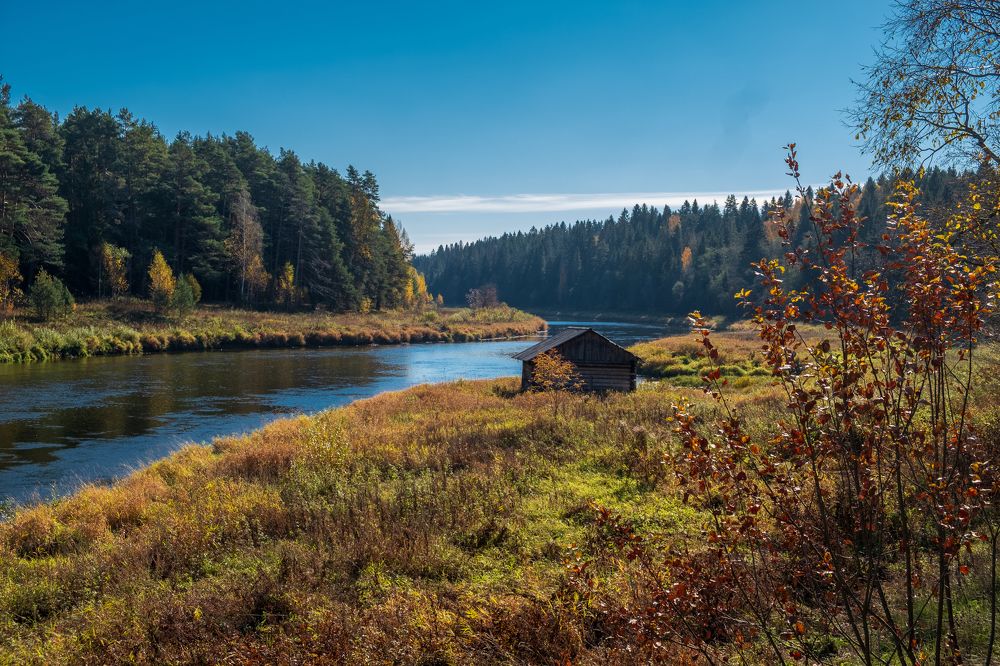Photograph by Дмитрий Гусев