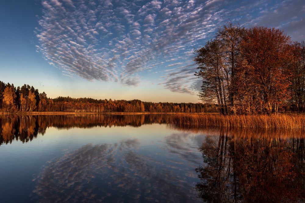 Photograph by Anton Libik