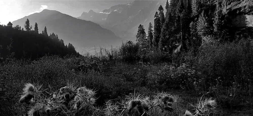 Photograph by Mahmud Anwar Alnasir