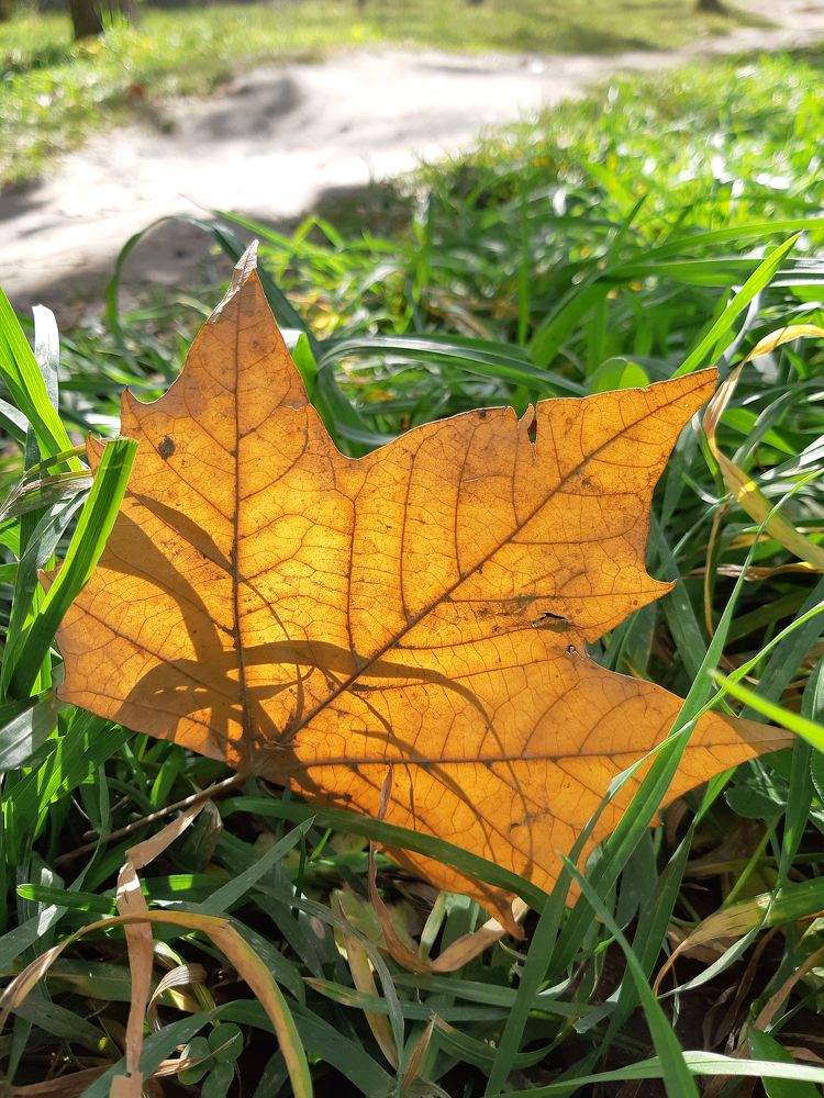 Photograph by Inessa Botasheva