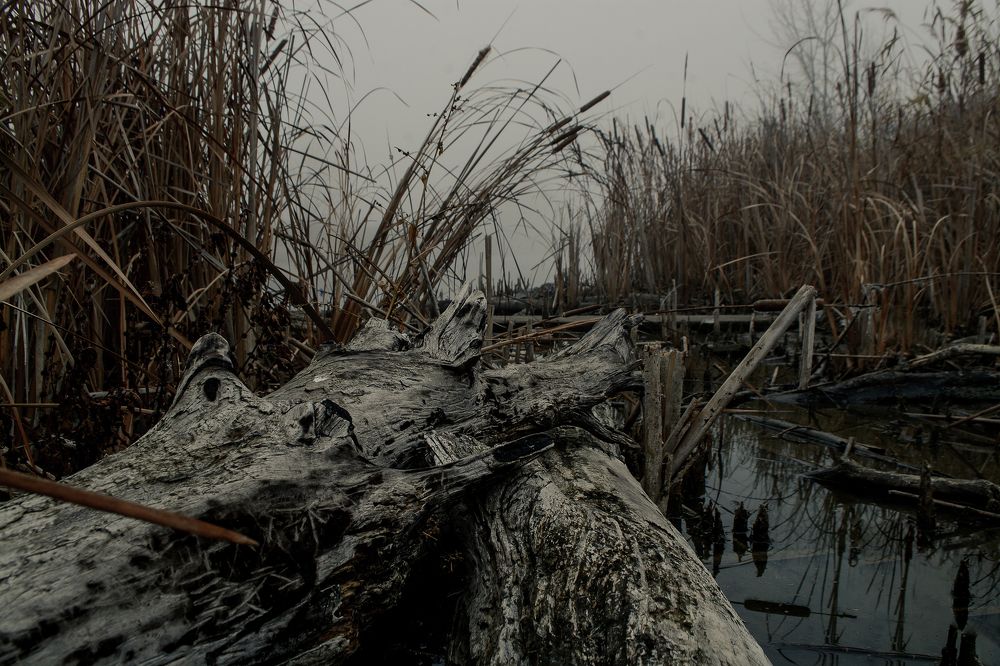 Photograph by Андрей Александрович Молотков