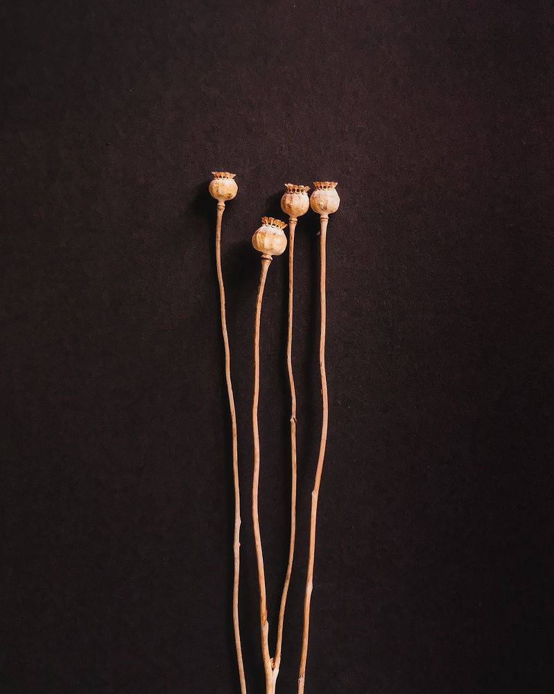 Photograph by Наталья Асоскова