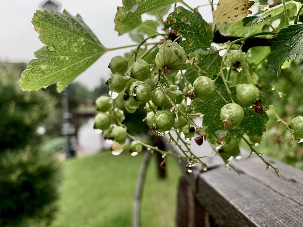 Photograph by Юлия Калинина