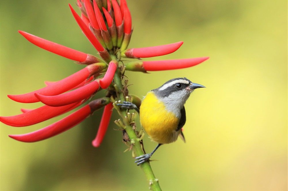 Photograph by Andrew Hankinson