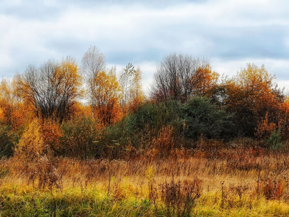 Photograph by Natali