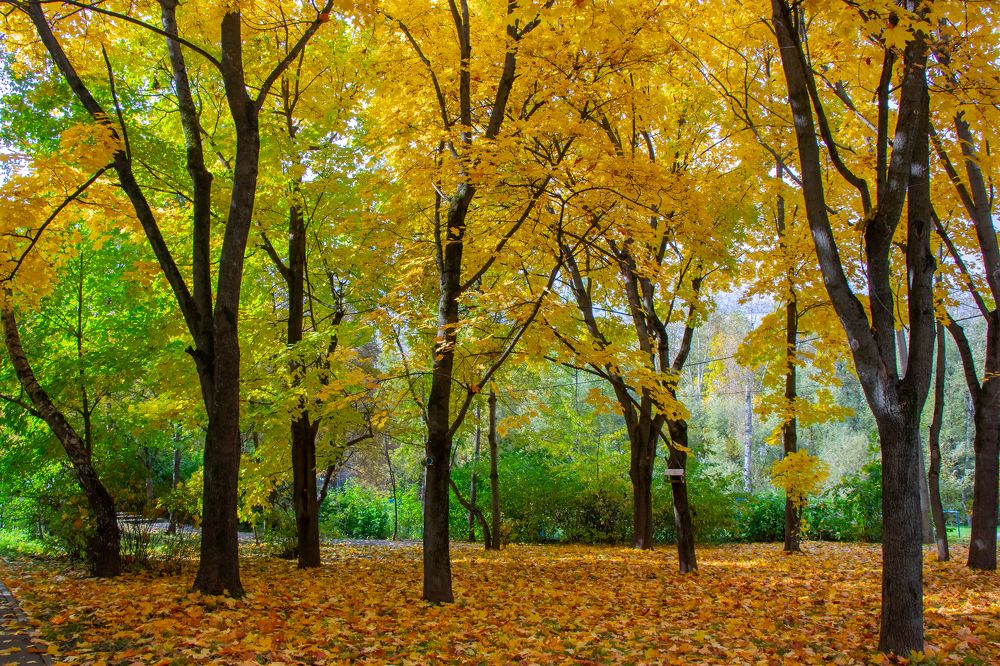 Photograph by Татьяна Новикова