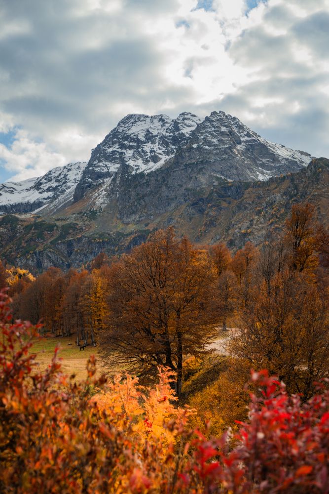 Photograph by Анна Халкониди