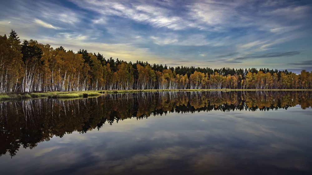 Фотография автора Дмитрий Тимошин