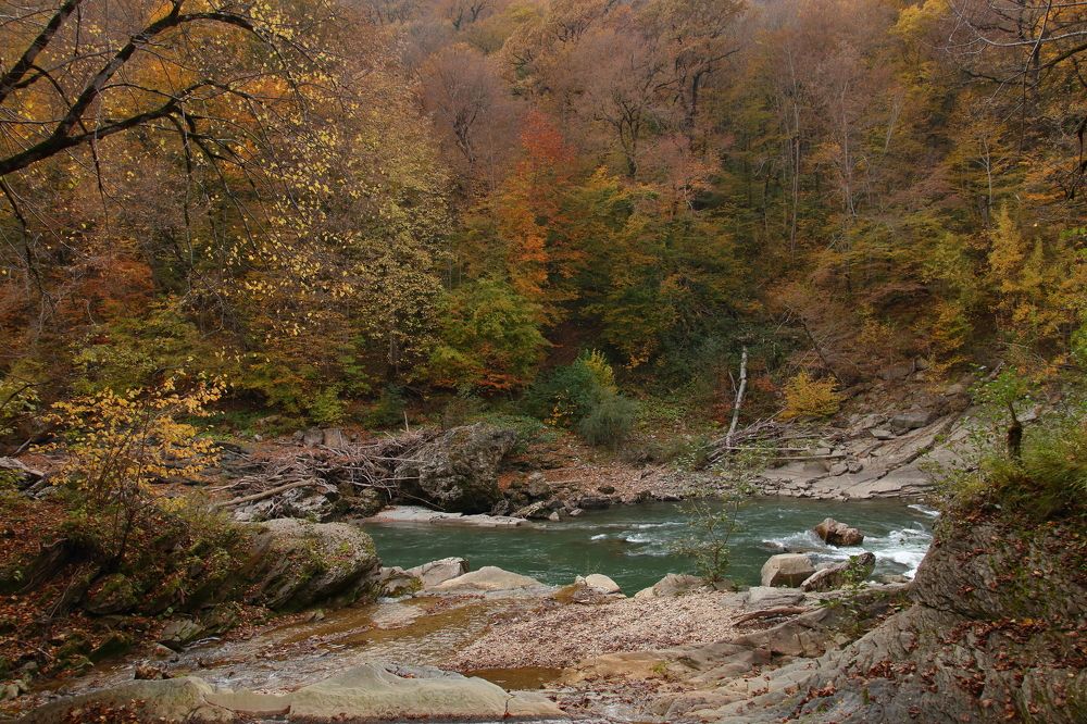 Photograph by Виктория Бережок