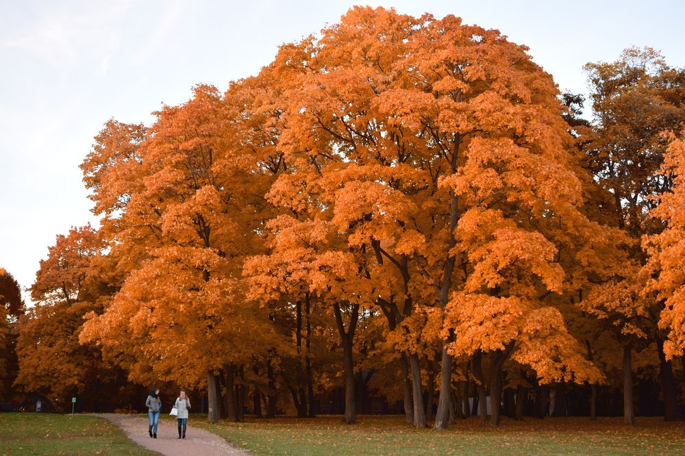 Photograph by Максим Трифонов