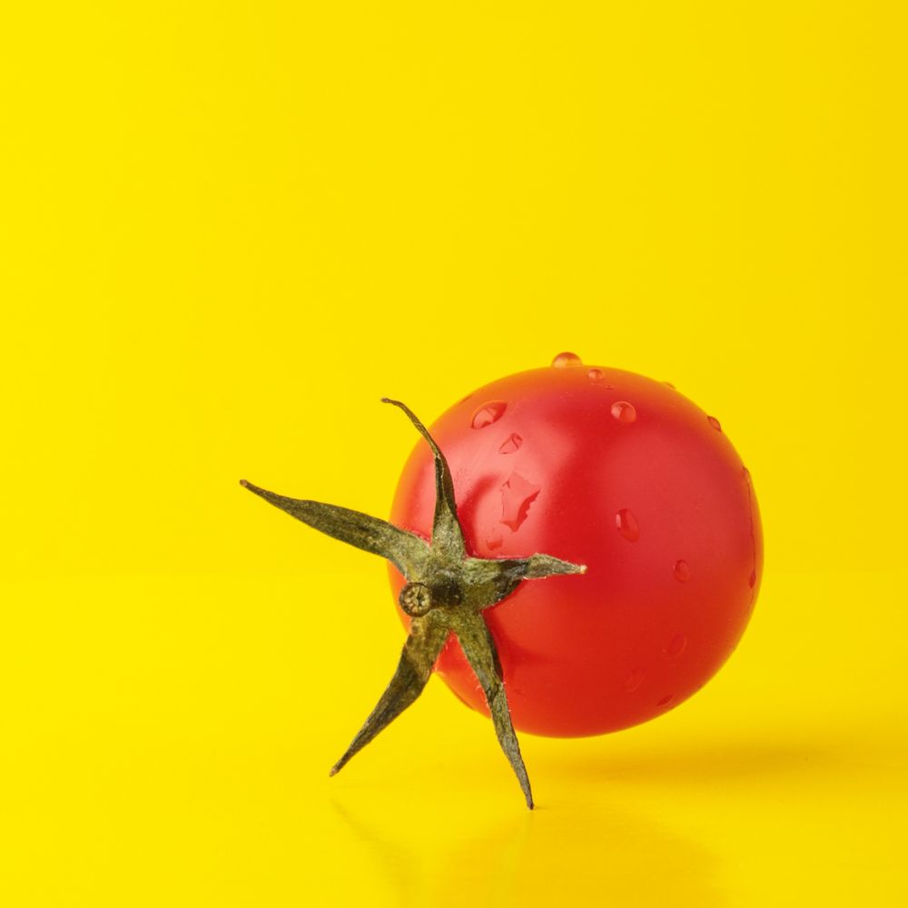 Жизнь одного помидора