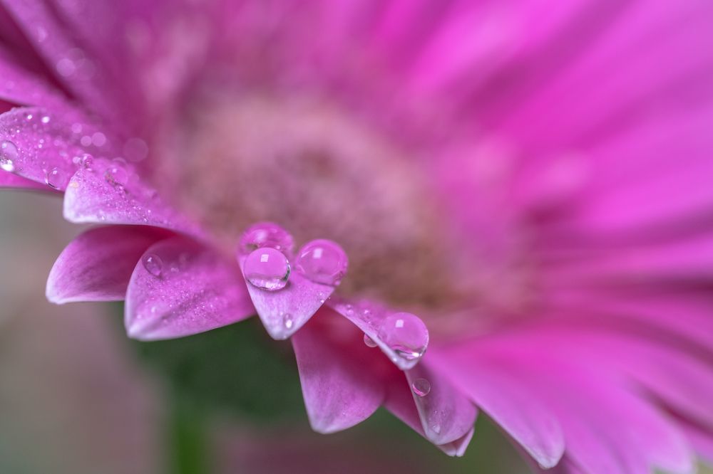 Photograph by Cuong Le Tien