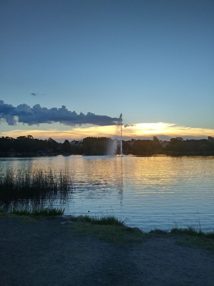 Agua