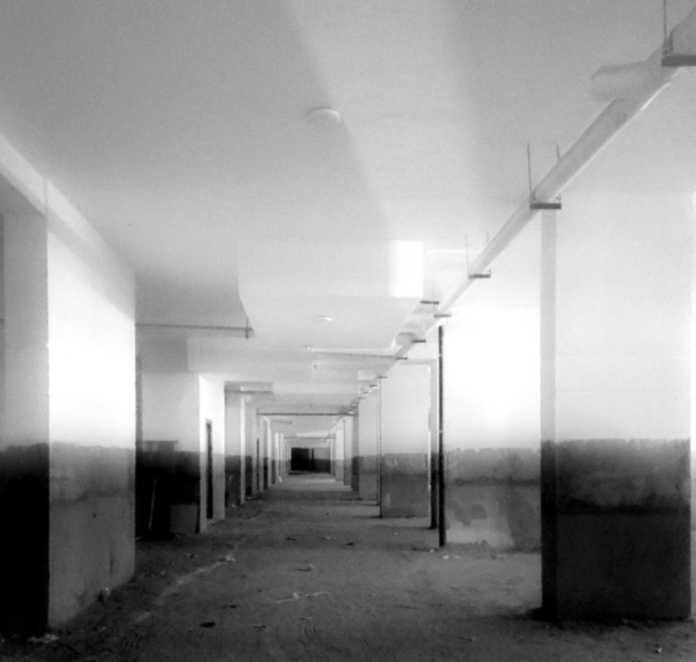 Photograph by ahmed shehata