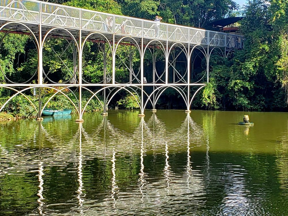 Photograph by ANTONIO LAFAIETE PAPAIANO