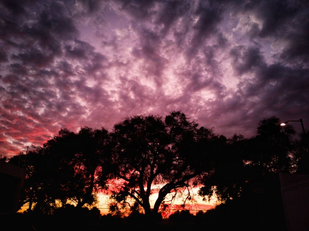 Photo #6615192