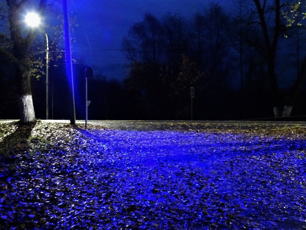 Photograph by Путова Юлия