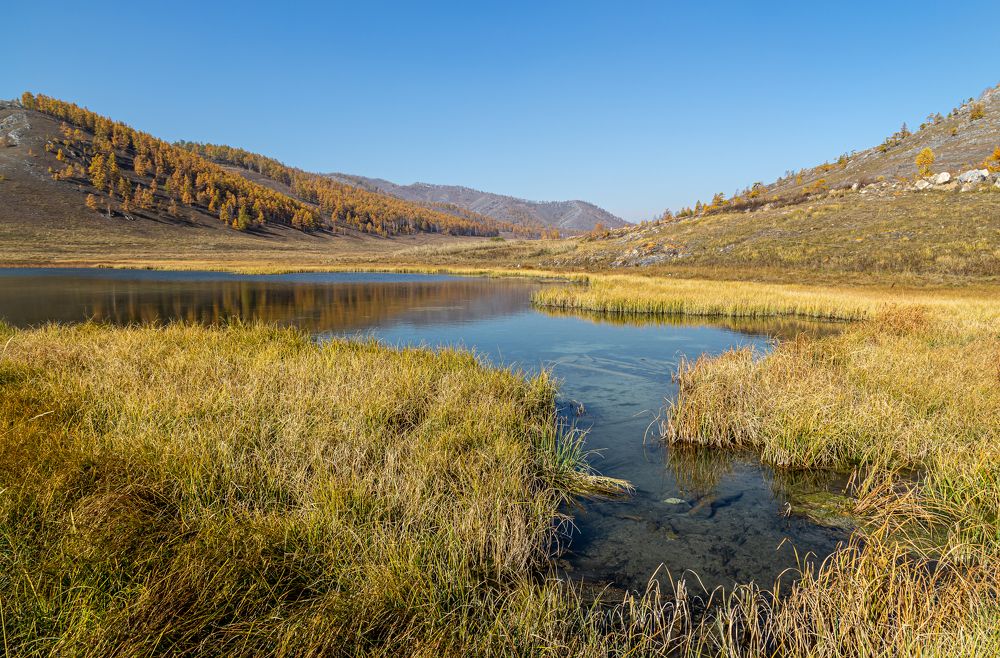 Photograph by Марина Новожилова