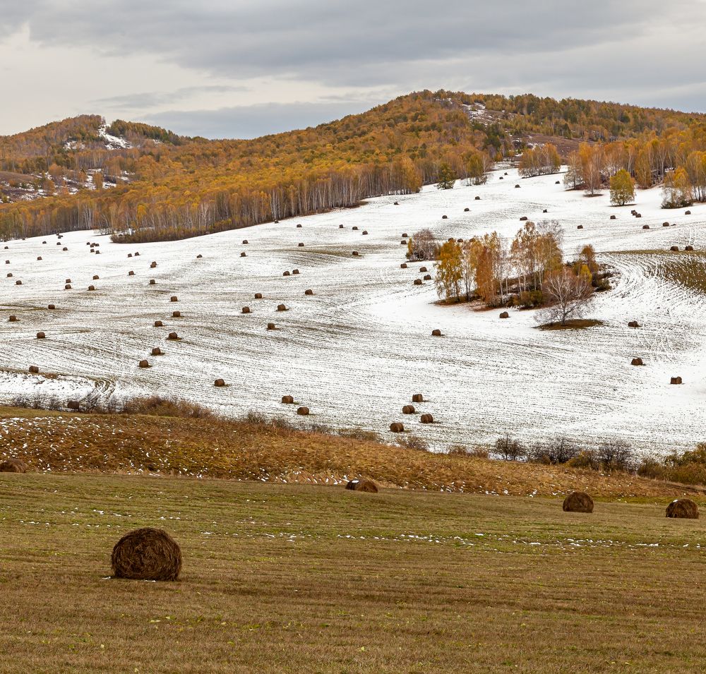 Photograph by Марина Новожилова