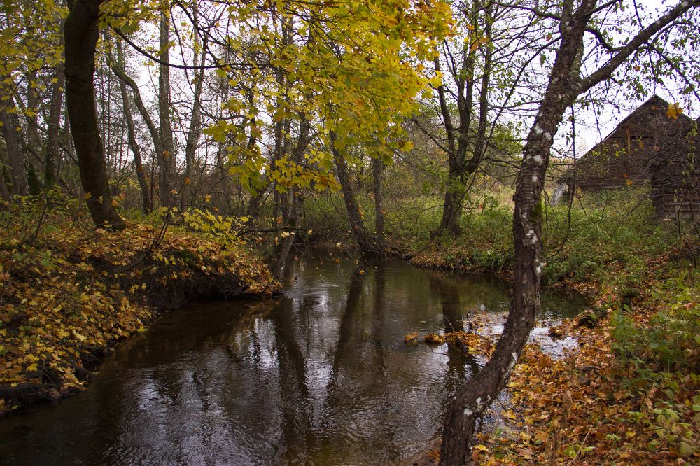 Photograph by Анна-Лаймуте Милошевич