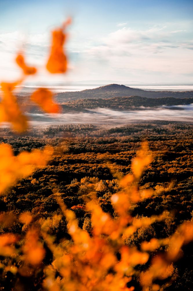 Photograph by Ксения Воронцова