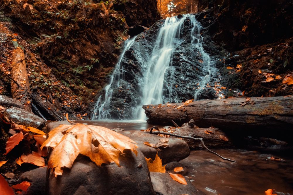 Photograph by EKATERINA WALTER