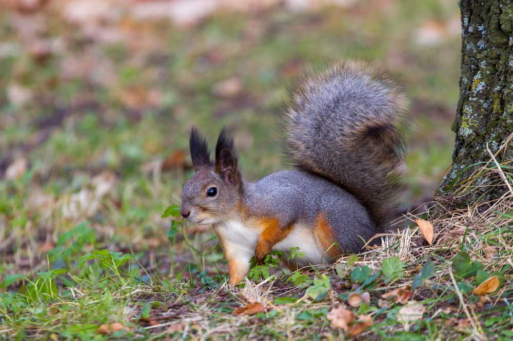 Photograph by Chic.chiquitita