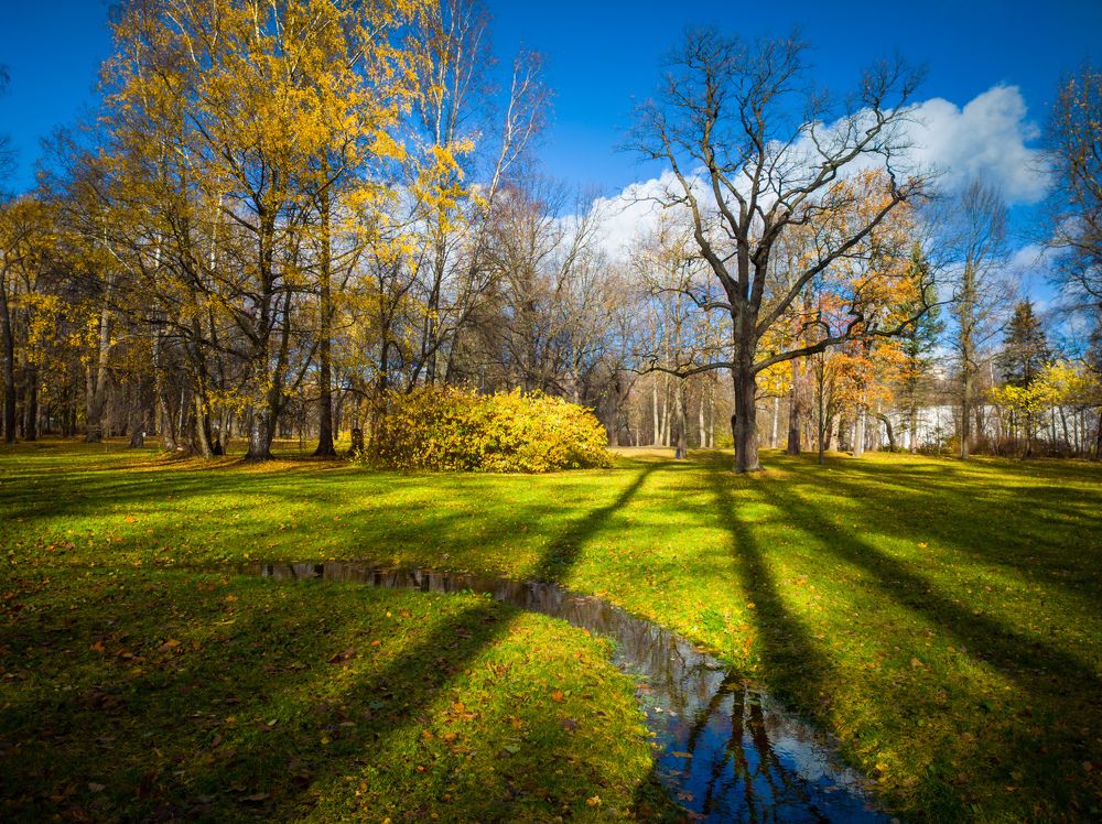 Photograph by Chic.chiquitita