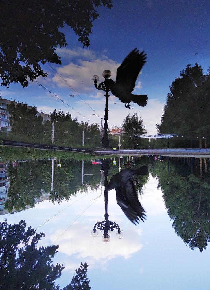 Photograph by Оксана Сабылина