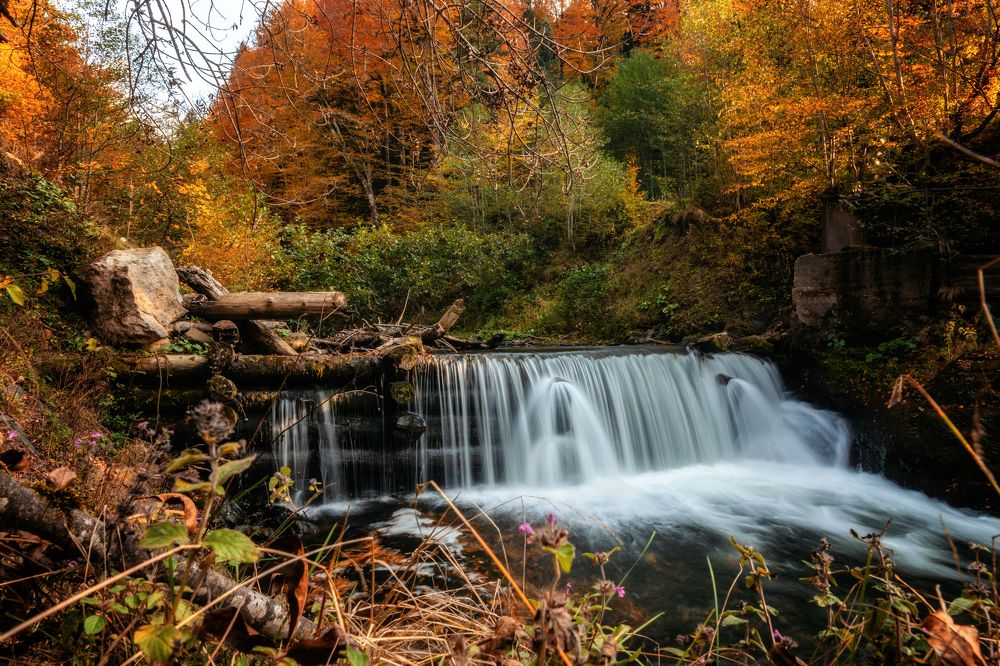 Photograph by EKATERINA WALTER