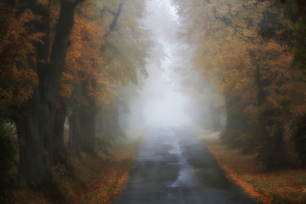 Photograph by Milan Samochin