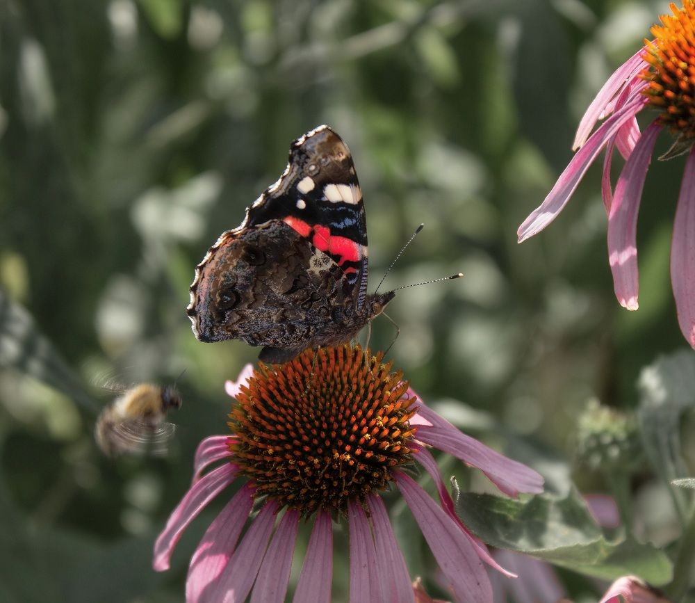 Photograph by Валентина Тагильцева