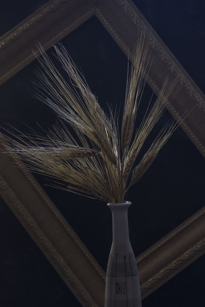 Photograph by Anna Gapanovich