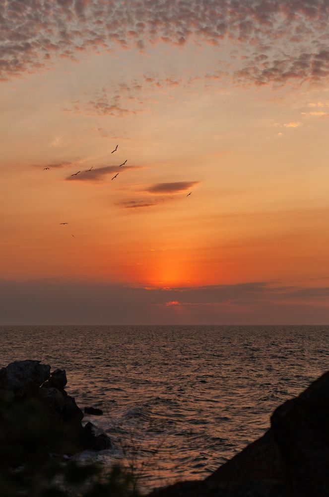 Photograph by Юлия Колмогорова