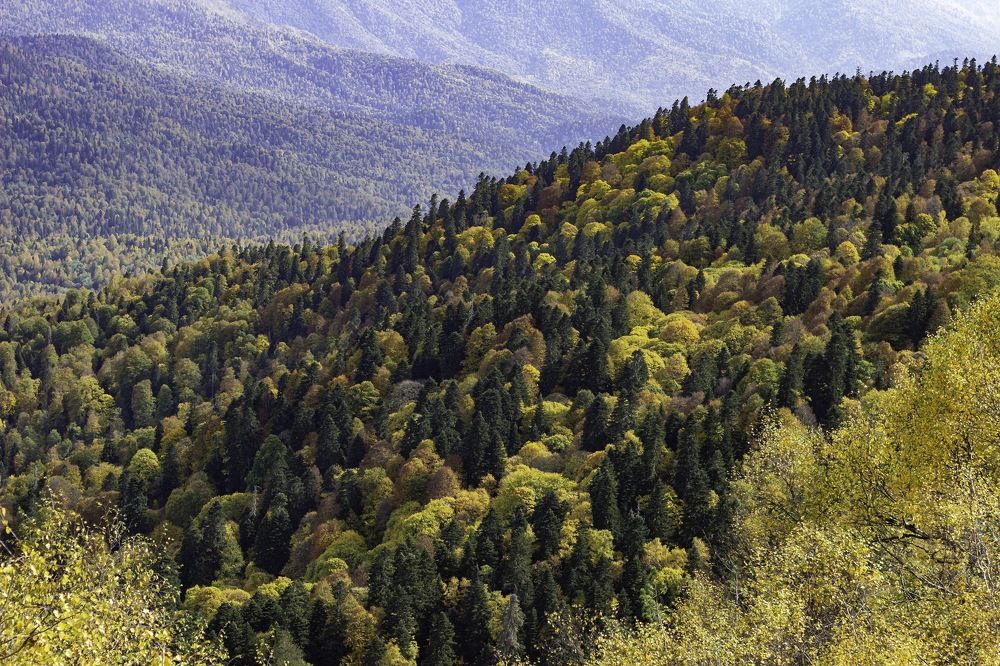 Photograph by Тарас Иванов