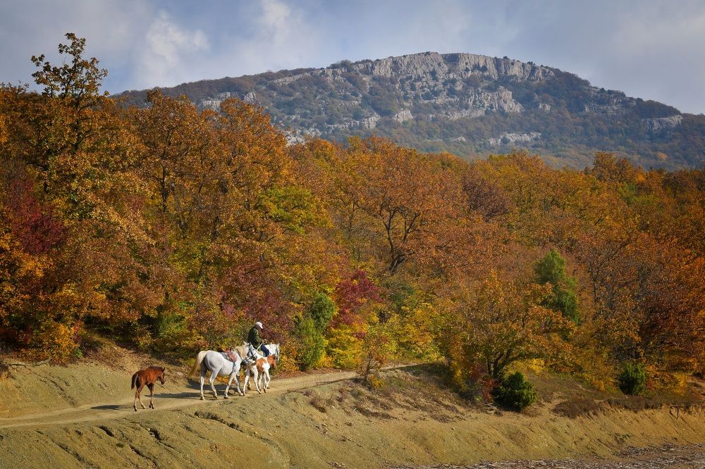 Photograph by Екатерина Гордеева
